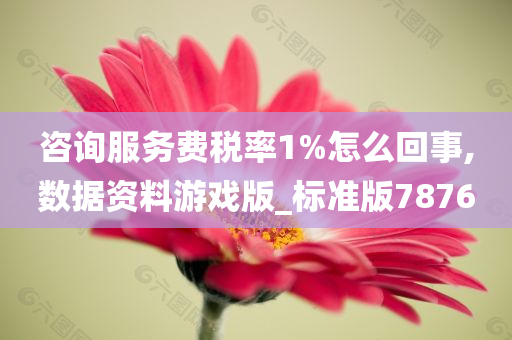 咨询服务费税率1%怎么回事,数据资料游戏版_标准版7876