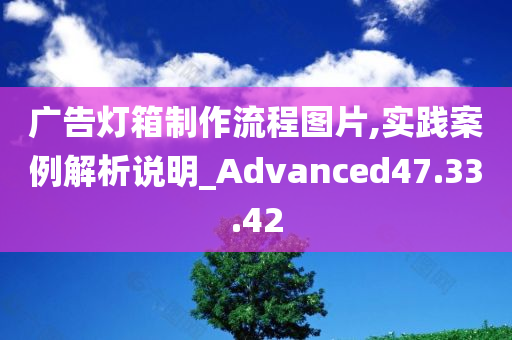 广告灯箱制作流程图片,实践案例解析说明_Advanced47.33.42