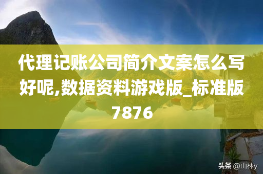 代理记账公司简介文案怎么写好呢,数据资料游戏版_标准版7876