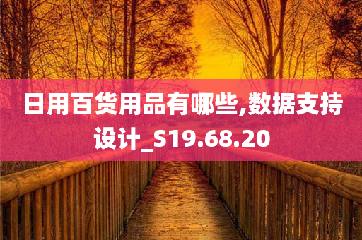 日用百货用品有哪些,数据支持设计_S19.68.20