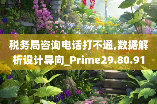 税务局咨询电话打不通,数据解析设计导向_Prime29.80.91