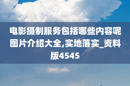 电影摄制服务包括哪些内容呢图片介绍大全,实地落实_资料版4545