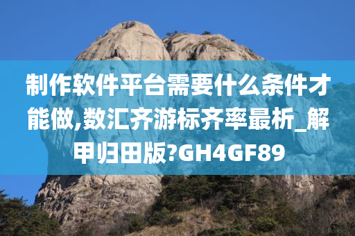 制作软件平台需要什么条件才能做,数汇齐游标齐率最析_解甲归田版?GH4GF89