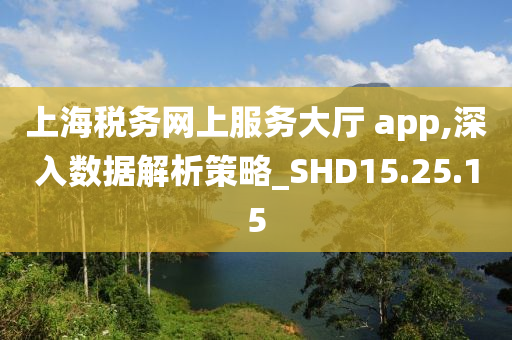 上海税务网上服务大厅 app,深入数据解析策略_SHD15.25.15