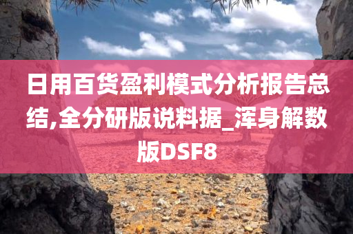 日用百货盈利模式分析报告总结,全分研版说料据_浑身解数版DSF8