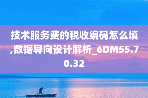 技术服务费的税收编码怎么填,数据导向设计解析_6DM55.70.32