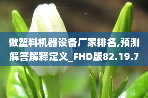 做塑料机器设备厂家排名,预测解答解释定义_FHD版82.19.70