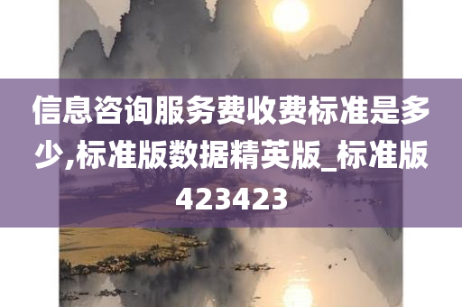 信息咨询服务费收费标准是多少,标准版数据精英版_标准版423423