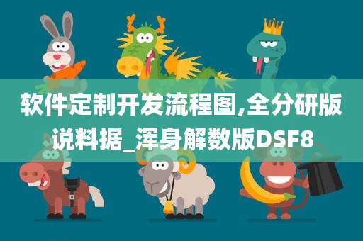 软件定制开发流程图,全分研版说料据_浑身解数版DSF8