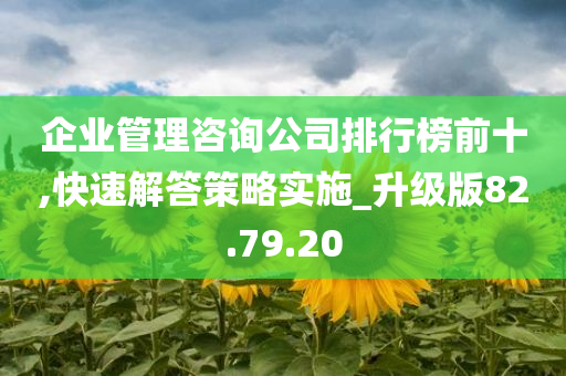 企业管理咨询公司排行榜前十,快速解答策略实施_升级版82.79.20