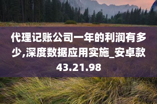 代理记账公司一年的利润有多少,深度数据应用实施_安卓款43.21.98