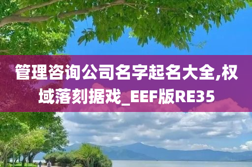 管理咨询公司名字起名大全,权域落刻据戏_EEF版RE35