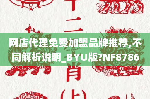 网店代理免费加盟品牌推荐,不同解析说明_BYU版?NF8786