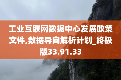 工业互联网数据中心发展政策文件,数据导向解析计划_终极版33.91.33