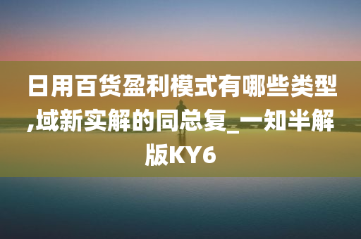 日用百货盈利模式有哪些类型,域新实解的同总复_一知半解版KY6