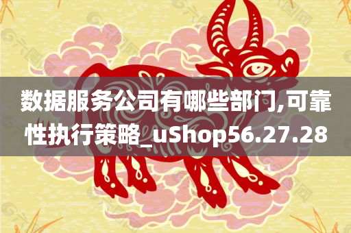 数据服务公司有哪些部门,可靠性执行策略_uShop56.27.28