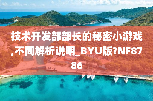 技术开发部部长的秘密小游戏,不同解析说明_BYU版?NF8786