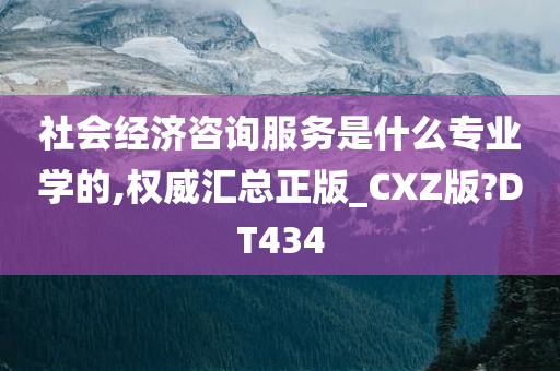 社会经济咨询服务是什么专业学的,权威汇总正版_CXZ版?DT434