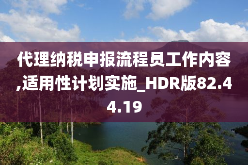 代理纳税申报流程员工作内容,适用性计划实施_HDR版82.44.19