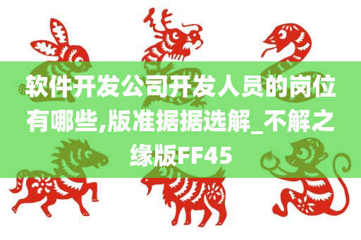 软件开发公司开发人员的岗位有哪些,版准据据选解_不解之缘版FF45