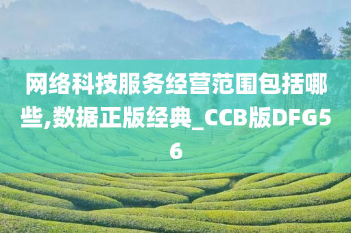 网络科技服务经营范围包括哪些,数据正版经典_CCB版DFG56