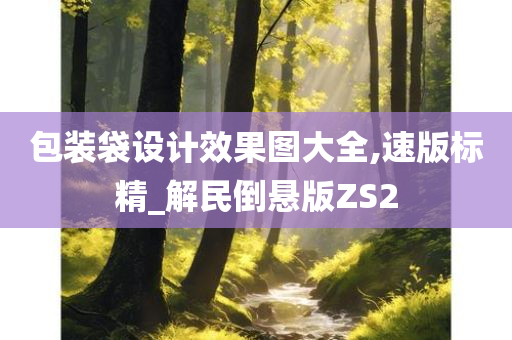 包装袋设计效果图大全,速版标精_解民倒悬版ZS2