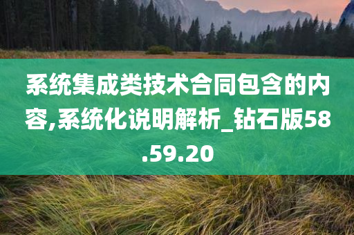 系统集成类技术合同包含的内容,系统化说明解析_钻石版58.59.20