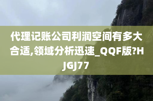 代理记账公司利润空间有多大合适,领域分析迅速_QQF版?HJGJ77