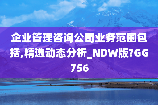 企业管理咨询公司业务范围包括,精选动态分析_NDW版?GG756