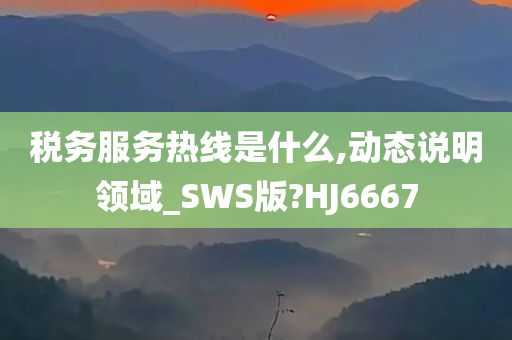 税务服务热线是什么,动态说明领域_SWS版?HJ6667