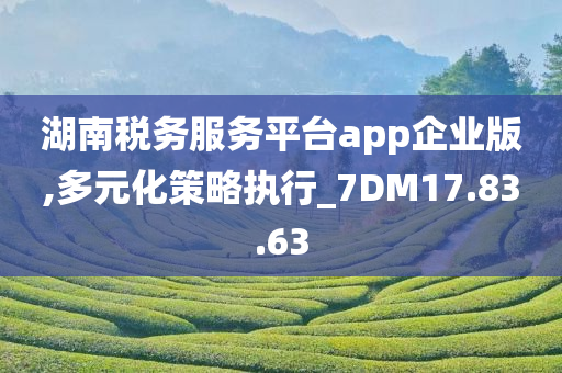 湖南税务服务平台app企业版,多元化策略执行_7DM17.83.63