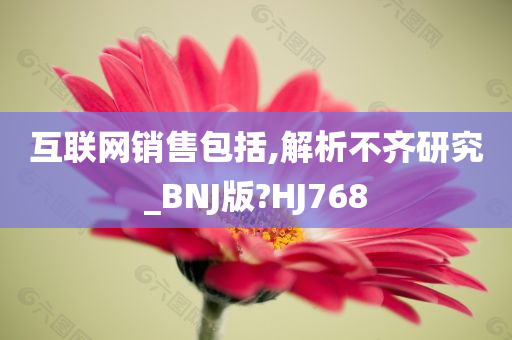 互联网销售包括,解析不齐研究_BNJ版?HJ768