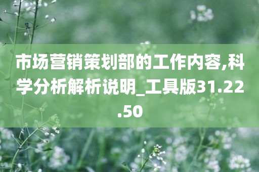 市场营销策划部的工作内容,科学分析解析说明_工具版31.22.50