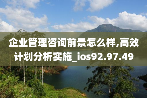 企业管理咨询前景怎么样,高效计划分析实施_ios92.97.49