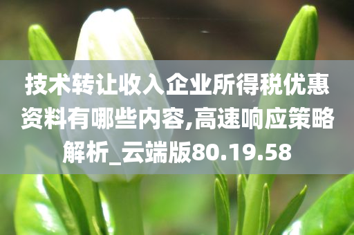 技术转让收入企业所得税优惠资料有哪些内容,高速响应策略解析_云端版80.19.58