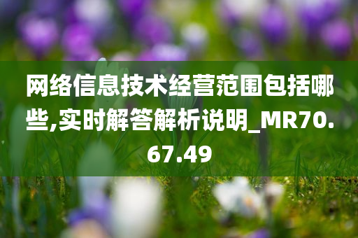 网络信息技术经营范围包括哪些,实时解答解析说明_MR70.67.49