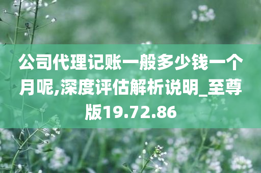 公司代理记账一般多少钱一个月呢,深度评估解析说明_至尊版19.72.86