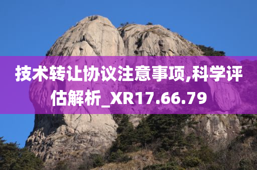 技术转让协议注意事项,科学评估解析_XR17.66.79