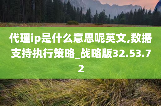 代理ip是什么意思呢英文,数据支持执行策略_战略版32.53.72