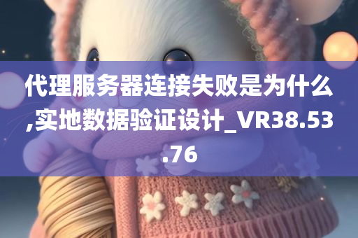 代理服务器连接失败是为什么,实地数据验证设计_VR38.53.76