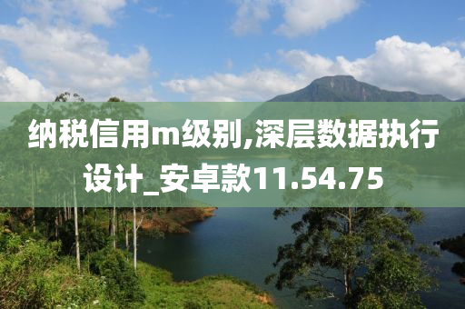 纳税信用m级别,深层数据执行设计_安卓款11.54.75