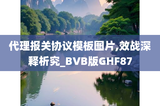 代理报关协议模板图片,效战深释析究_BVB版GHF87