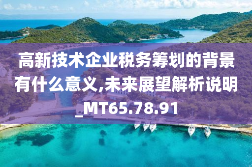 高新技术企业税务筹划的背景有什么意义,未来展望解析说明_MT65.78.91