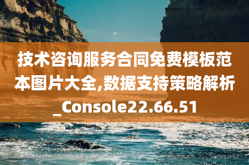 技术咨询服务合同免费模板范本图片大全,数据支持策略解析_Console22.66.51