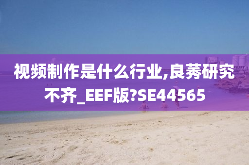 视频制作是什么行业,良莠研究不齐_EEF版?SE44565