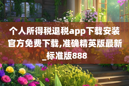 个人所得税退税app下载安装官方免费下载,准确精英版最新_标准版888