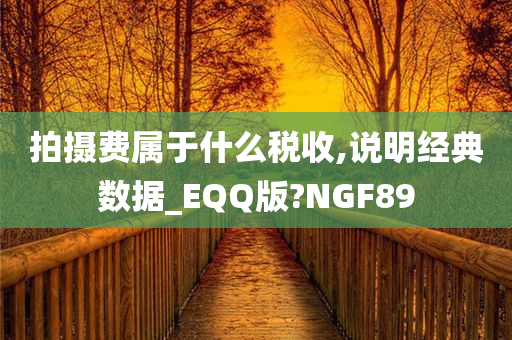 拍摄费属于什么税收,说明经典数据_EQQ版?NGF89