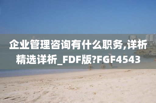 企业管理咨询有什么职务,详析精选详析_FDF版?FGF4543