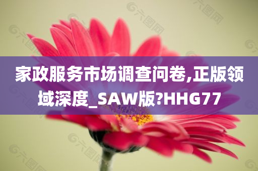 家政服务市场调查问卷,正版领域深度_SAW版?HHG77