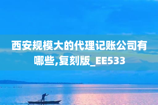 西安规模大的代理记账公司有哪些,复刻版_EE533